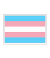 Poster Bandeira Trans - Transexual - Orgulho