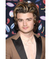 Poster Joe Keery - Stranger Things - Ator - Séries