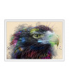 Poster Águia - Pássaros - Passarinhos - Aves - Animais