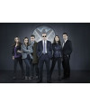 Poster Agentes Agents Of Shield