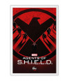 Poster Agentes Of Shield