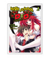 Poster High School DXD - Animes