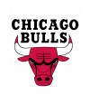 Poster Chicago Bulls - Basquete - Nba
