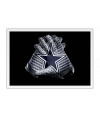 Futebol Americano - NFL - Dallas Cowboys