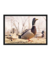 Poster Patos - Animais – Natureza