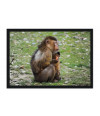 Poster Macaco Filhote E Adulto - Animais – Natureza