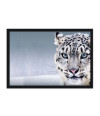 Poster Tigre Branco Na Neve - Animais – Natureza