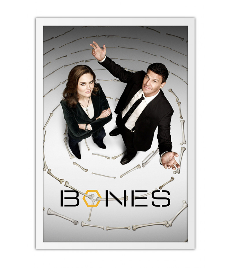 Poster Bones 1ª Temporada - Séries - Uau Posters
