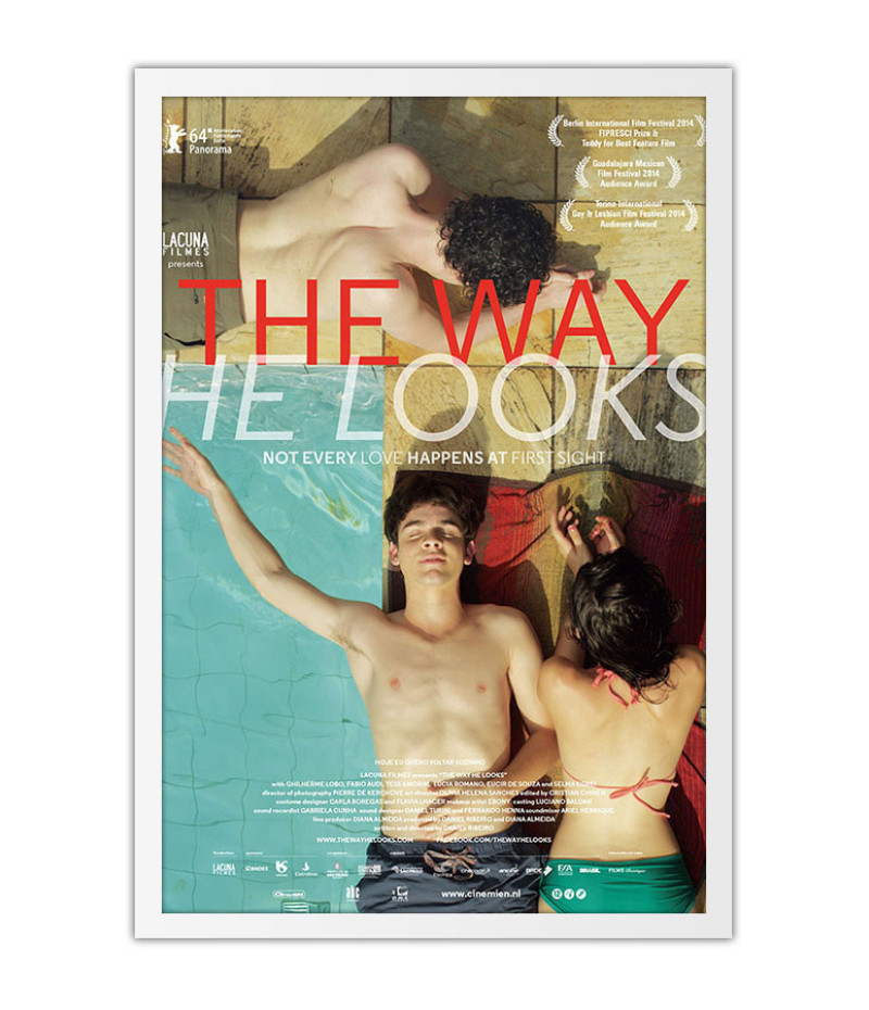 Poster The Way He Looks Hoje Eu Nao Quero Voltar Sozinho