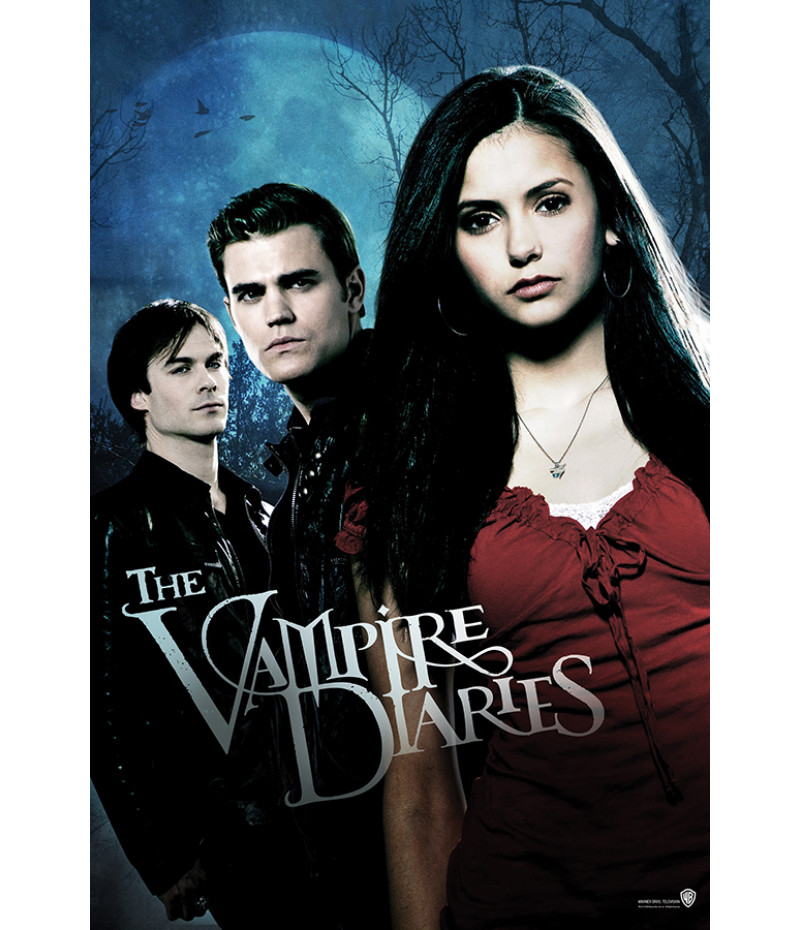Cartaz Serigrafia The Vampire Diaries, Temporada 1 Plakat naukowy Silk, Os  diários do vampiro, moda, pôster, outros png