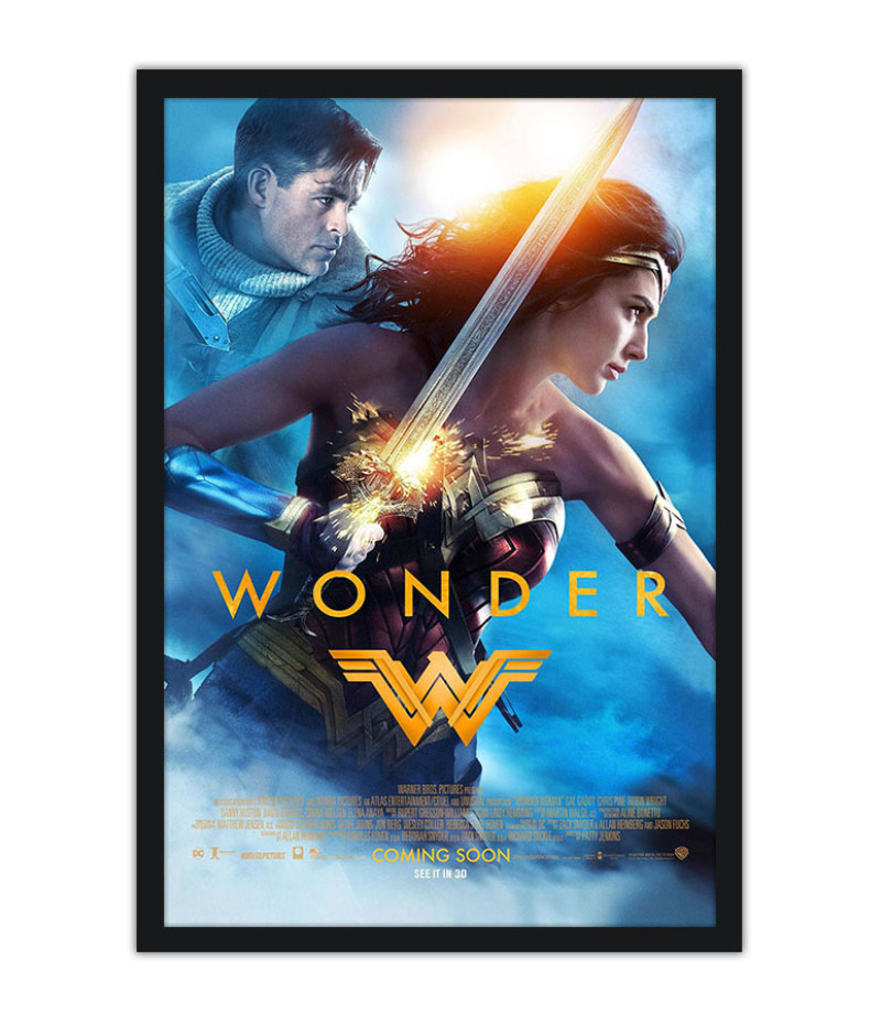 Poster Wonder Woman Mulher Maravilha