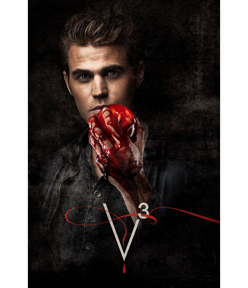 Poster Vampire Diaries 3° Temporada