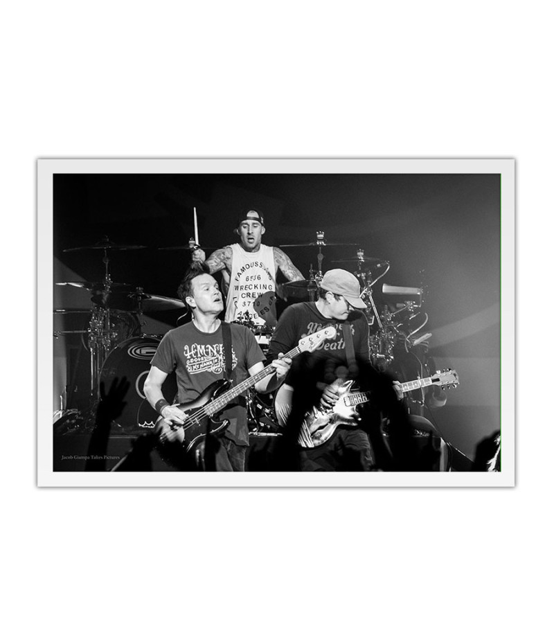 Poster Blink 192 - Bandas de Rock