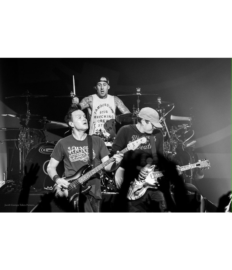 Poster Blink 192 - Bandas de Rock