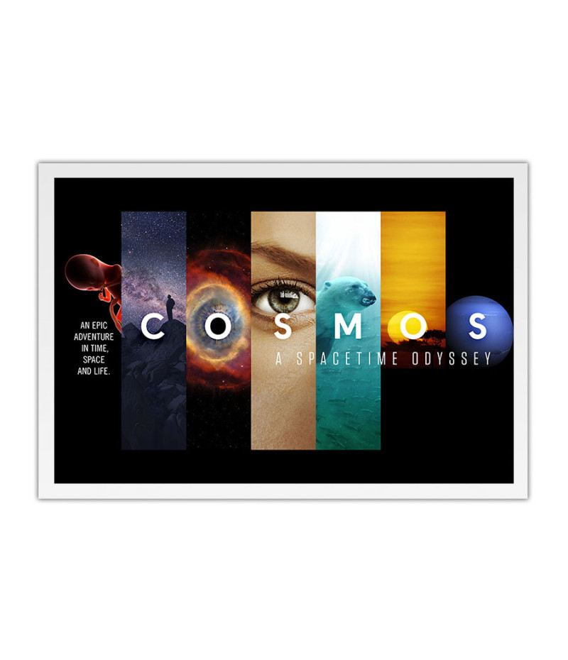 Ilmes Cosmos A Spacetime Odyssey