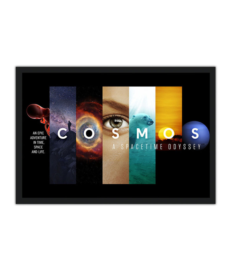 Ilmes Cosmos A Spacetime Odyssey