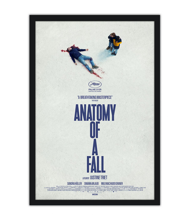 Poster Anatomia de Uma Queda - Filmes