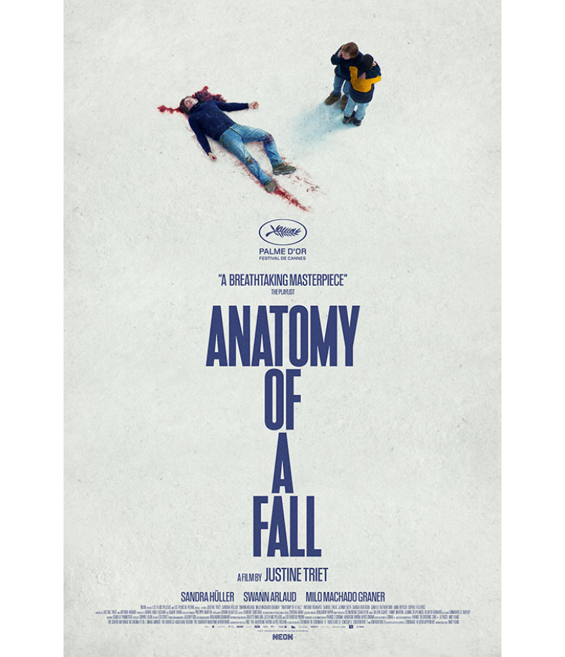 Poster Anatomia de Uma Queda - Filmes