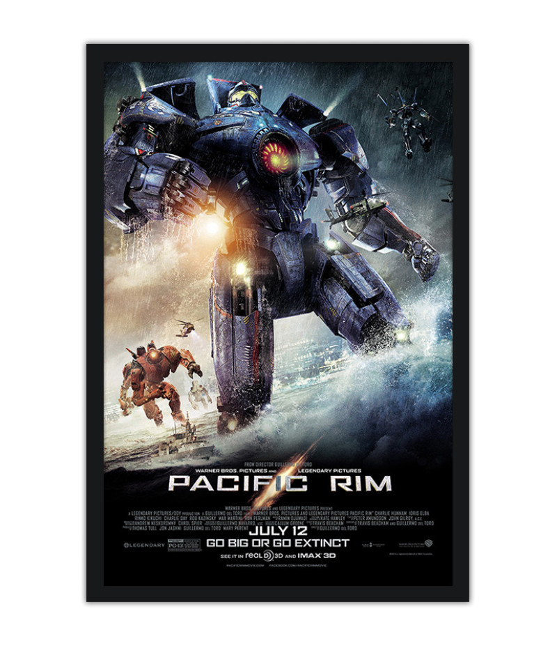 Poster Círculo De Fogo