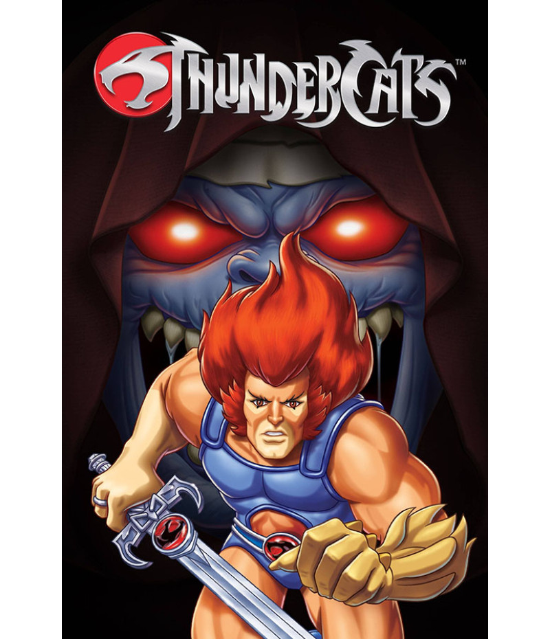 Poster Thundercats - Desenhos