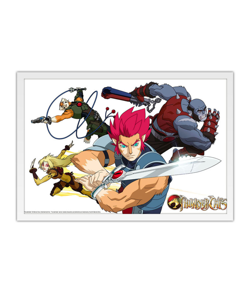 Poster Thundercats - Desenhos