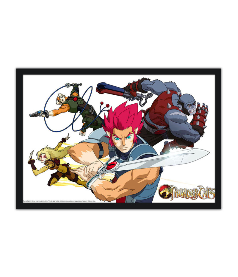 Poster Thundercats - Desenhos