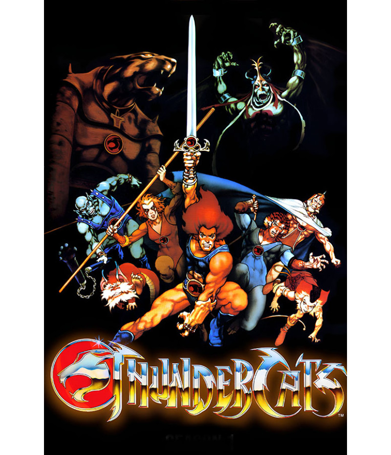 Poster Thundercats - Desenhos