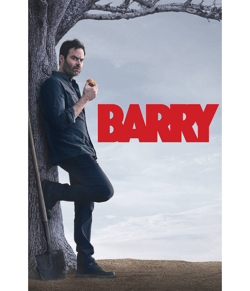 Poster Barry - Séries