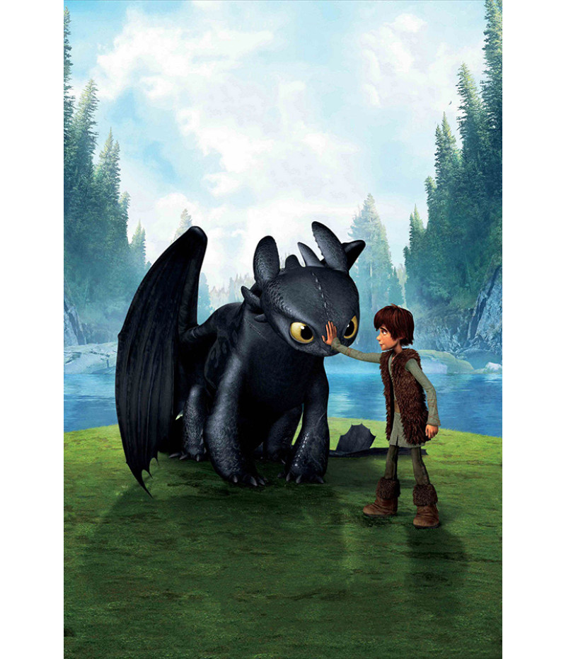 Poster Como Treinar seu Dragão 2