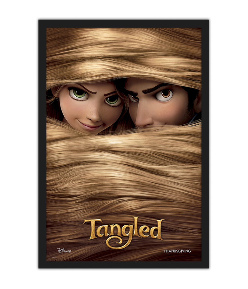 Poster Enrolados