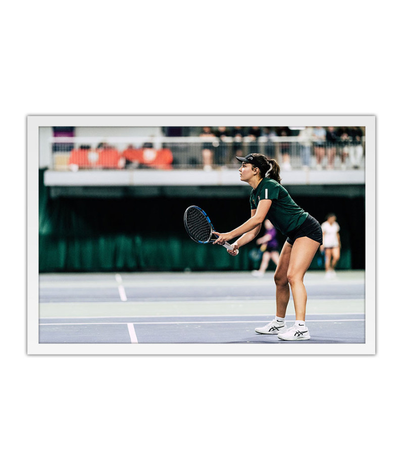 Poster Tenistas - Tenis - Esporte - Tennis