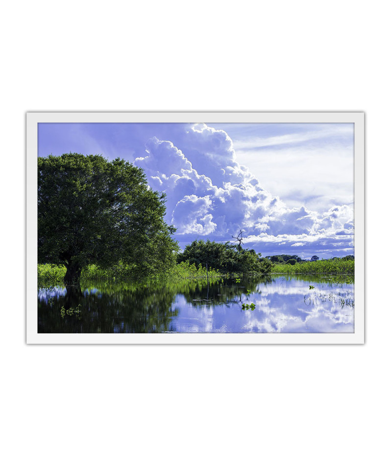 Poster Pantanal - Paisagens Nacionais - Fotografia