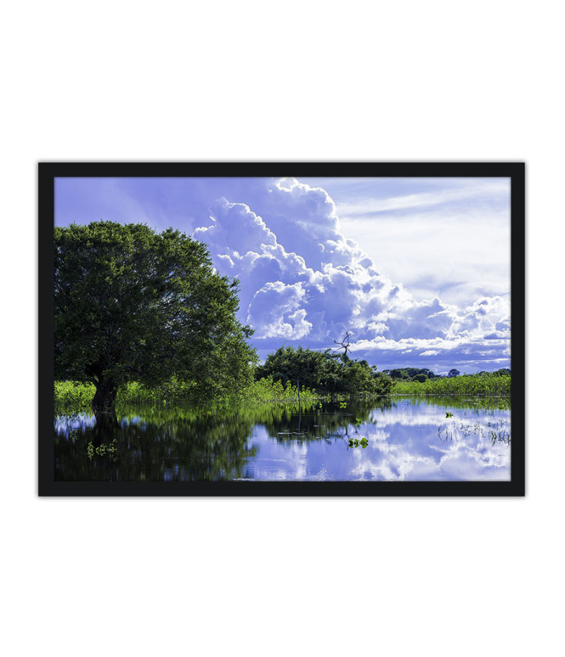 Poster Pantanal - Paisagens Nacionais - Fotografia