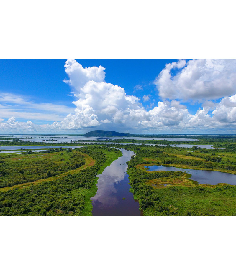 Poster Pantanal - Paisagens Nacionais - Fotografia