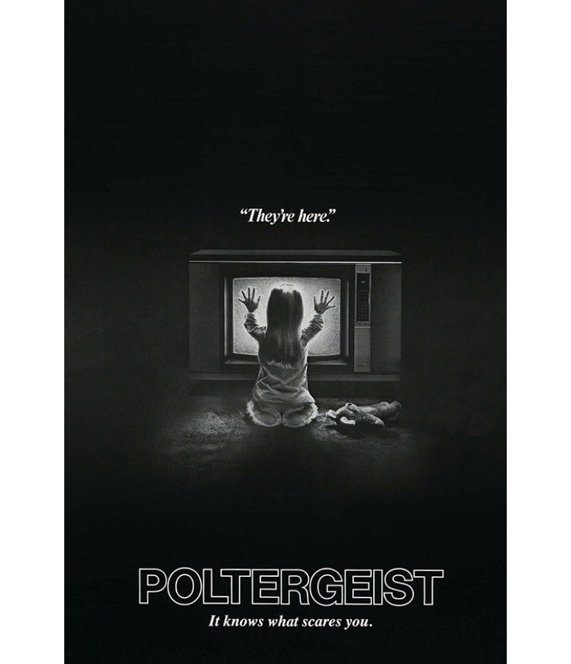 Poster Poltergeist - Terror - Filmes