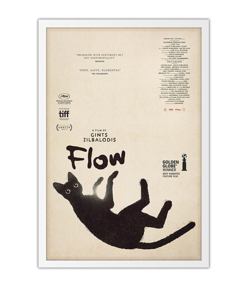 Poster Flow - Filmes