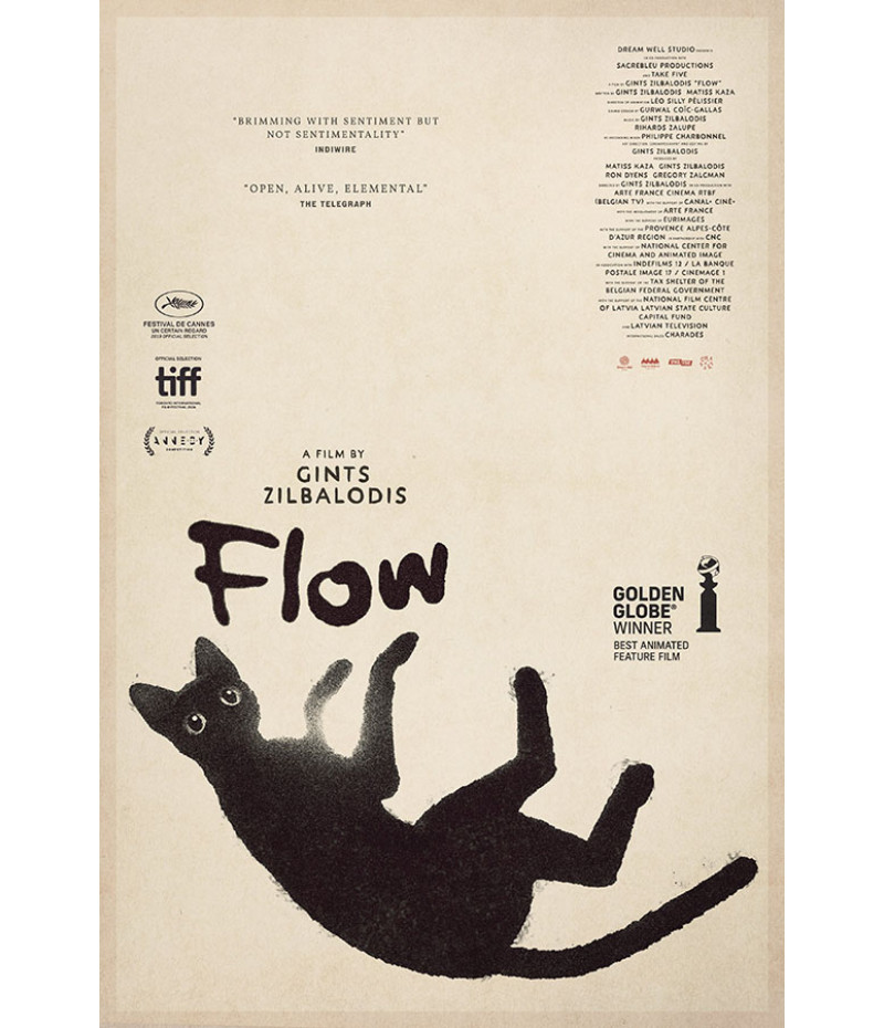 Poster Flow - Filmes