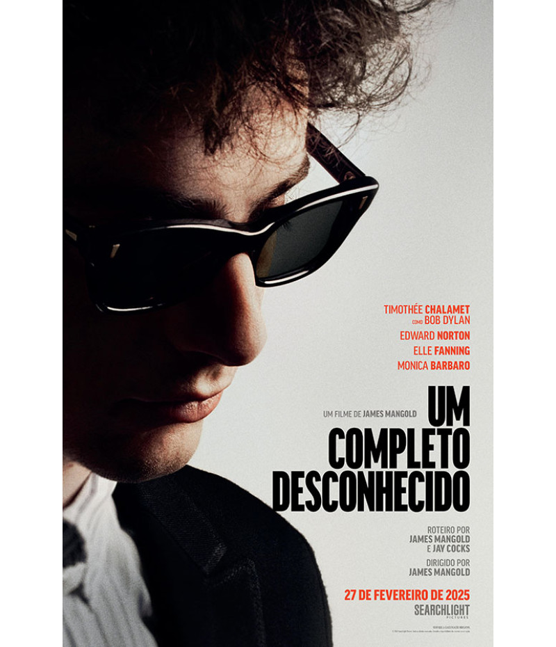 Poster Um Completo Desconhecido - Complete Unknown - Filmes