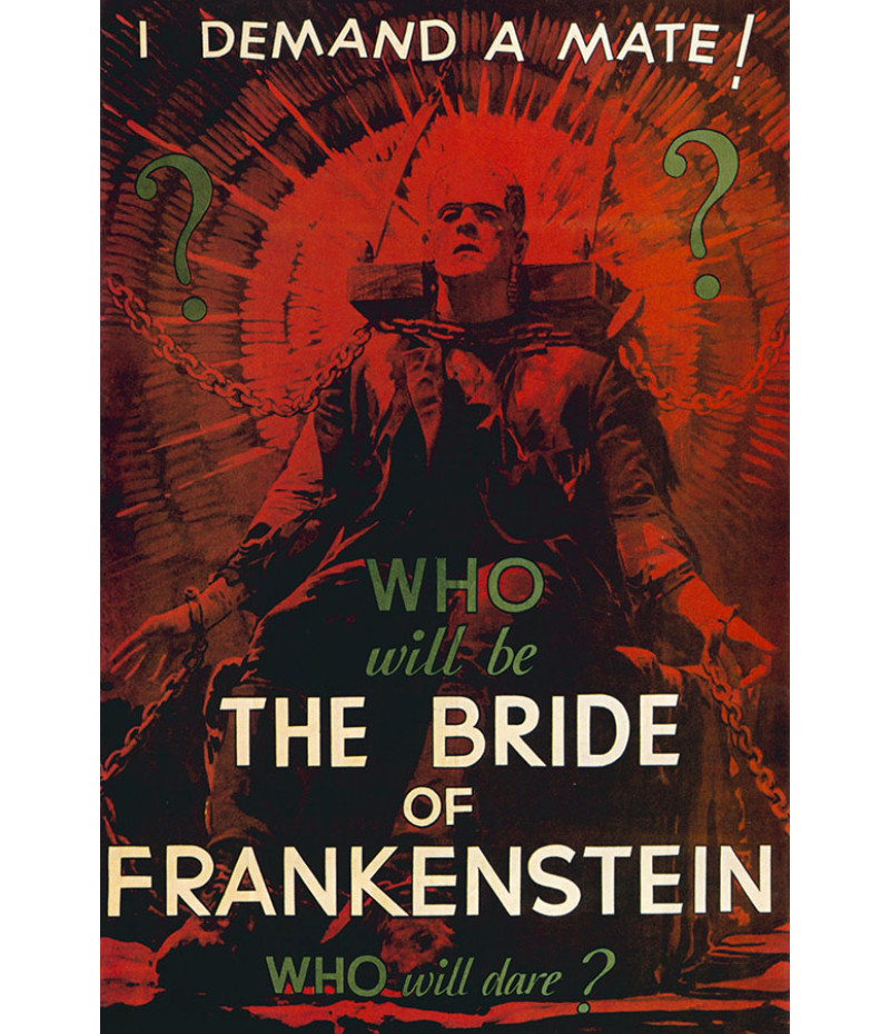 Poster A Noiva Do Frankenstein - Frankenstein’s Bride - Terror - Filmes