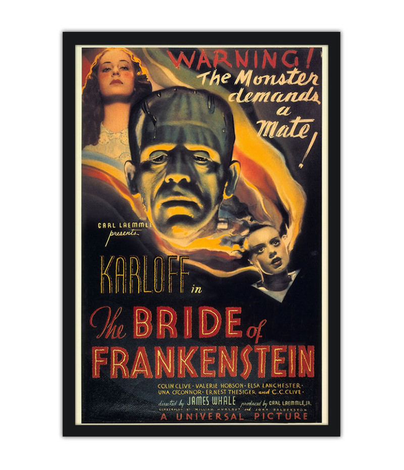 Poster A Noiva Do Frankenstein - Frankenstein’s Bride - Terror - Filmes