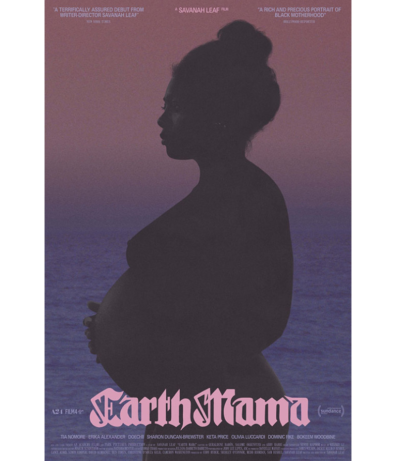 Poster Earth Mama - Filmes