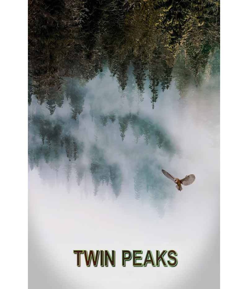 Poster Twin Peaks - Filmes