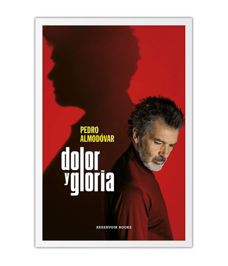 Poster Dolor y Gloria - Almodovar - Filmes