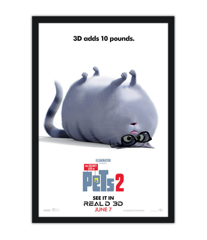 Poster Pets - Vida Secreta Dos Bichos - Filmes - Infantis