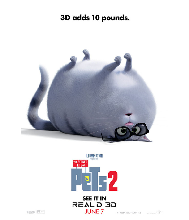 Poster Pets - Vida Secreta Dos Bichos - Filmes - Infantis