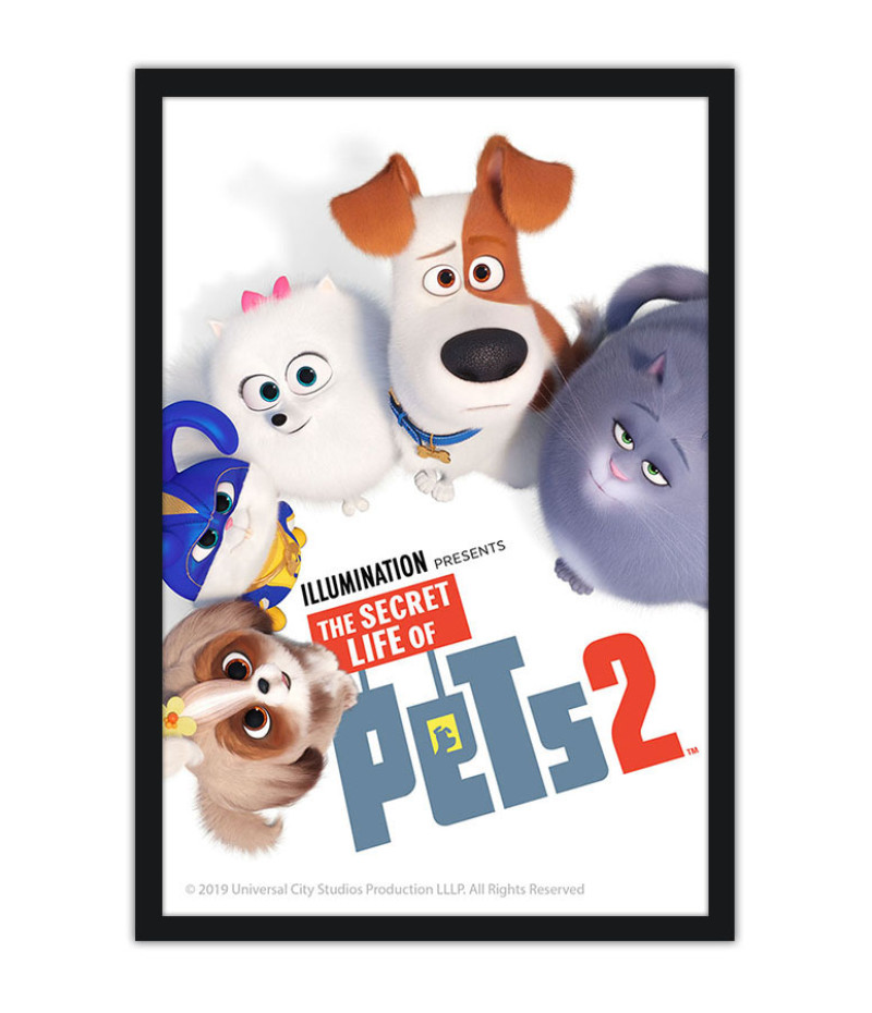 Poster Pets - Vida Secreta Dos Bichos - Filmes - Infantis