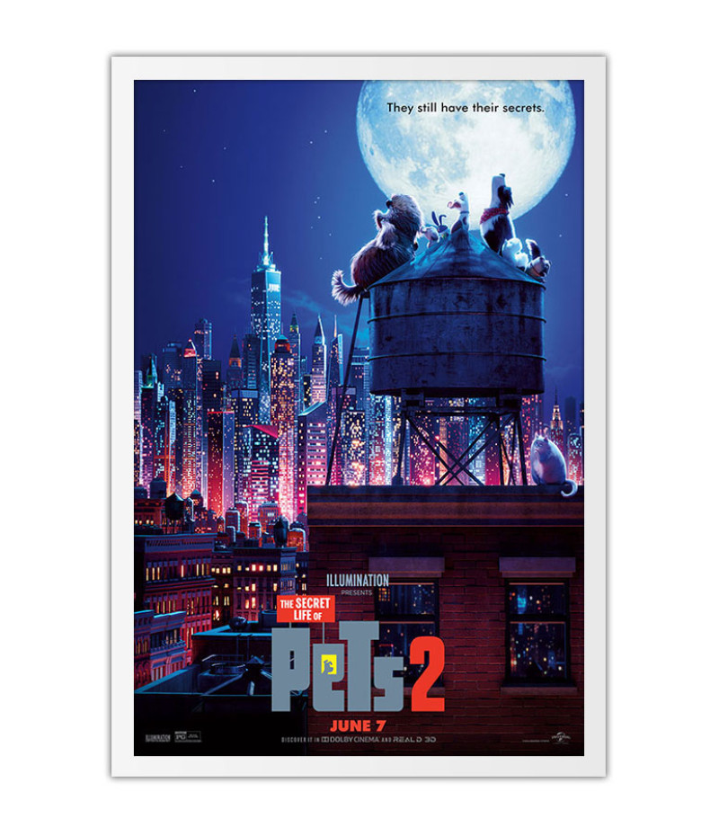 Poster Pets - Vida Secreta Dos Bichos - Filmes - Infantis
