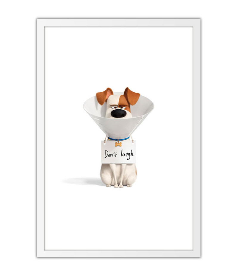 Poster Pets - Vida Secreta Dos Bichos - Filmes - Infantis