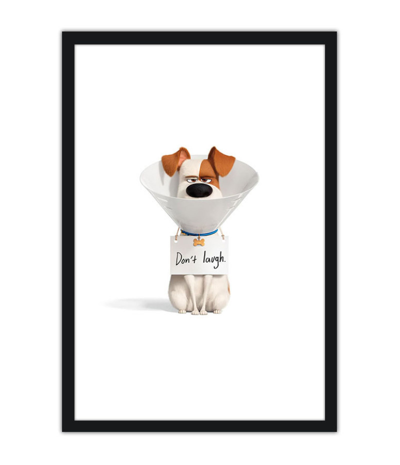 Poster Pets - Vida Secreta Dos Bichos - Filmes - Infantis