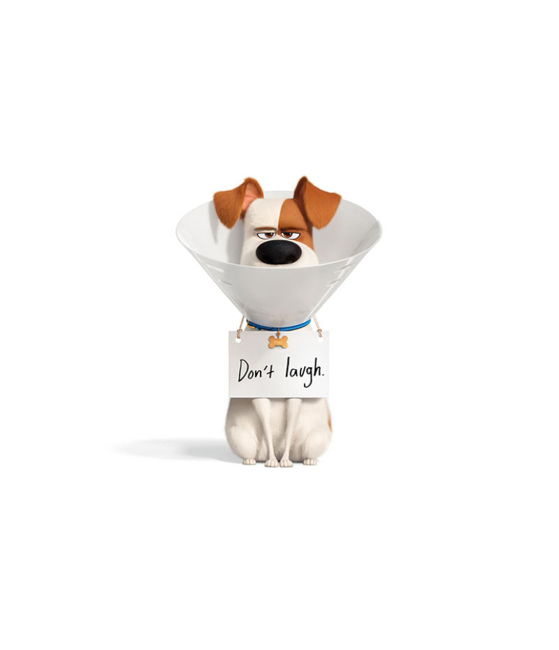 Poster Pets - Vida Secreta Dos Bichos - Filmes - Infantis